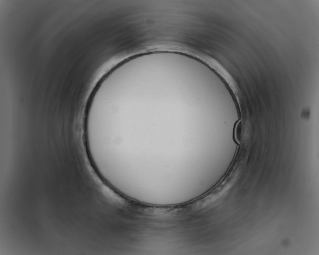 X0000101401005200807280957