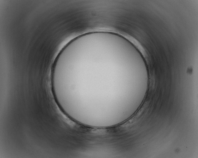 X0000101401006200807280957