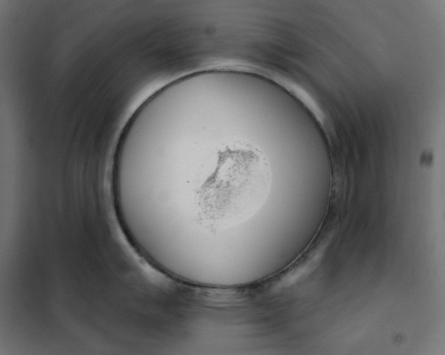 X0000101401007200807280957