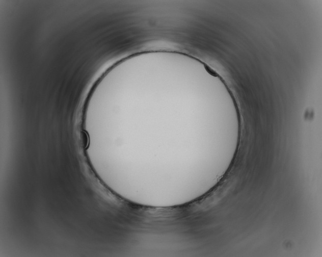 X0000101401008200807280957