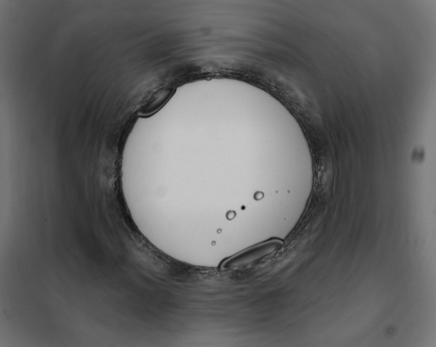 X0000101401012200807280957