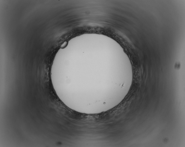 X0000101401013200807280957