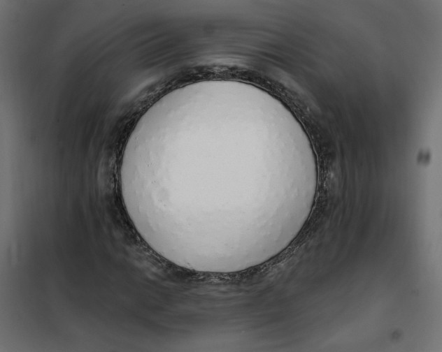 X0000101401014200807280957