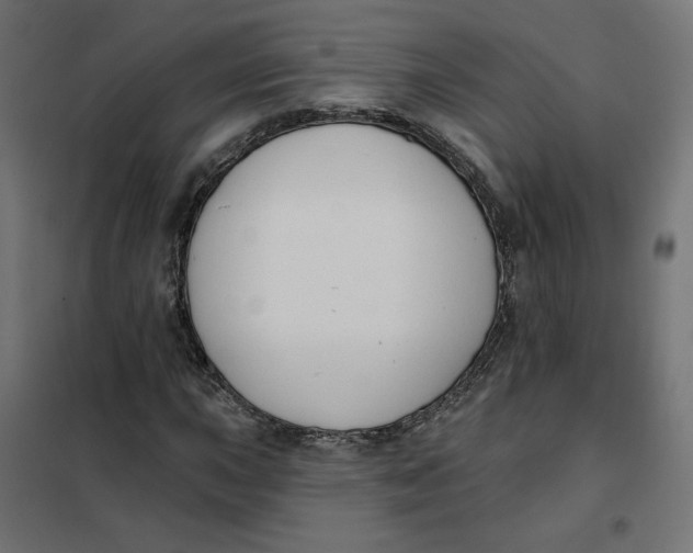 X0000101401015200807280957