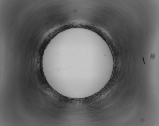 X0000101401016200807280957