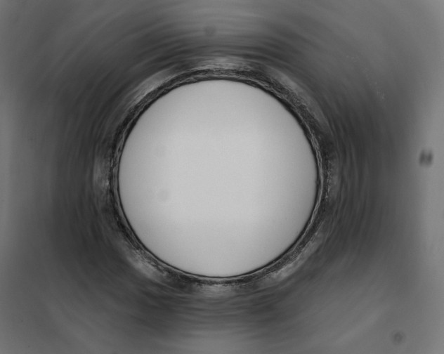 X0000101401017200807280957