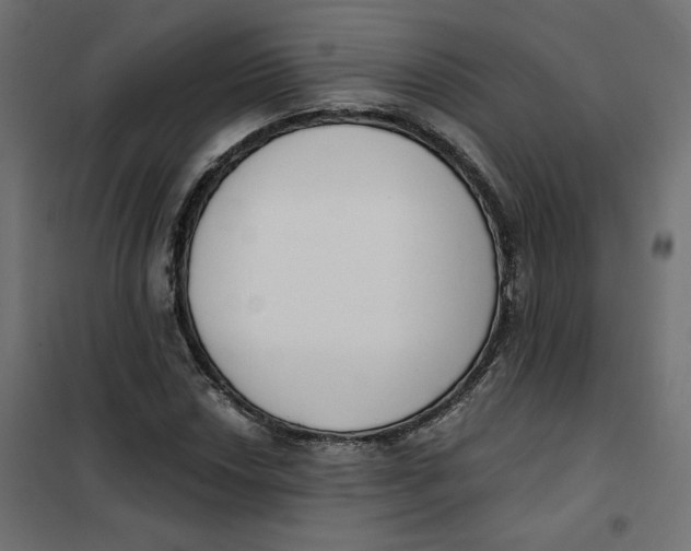 X0000101401018200807280957