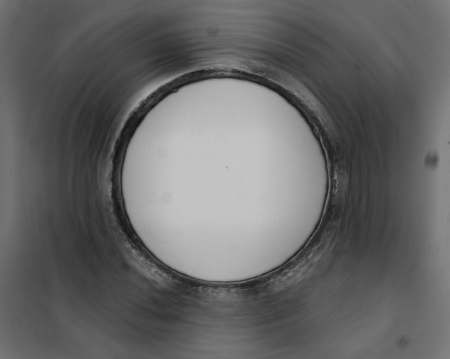 X0000101401020200807280957