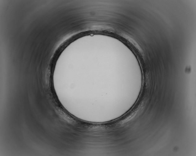 X0000101401021200807280957