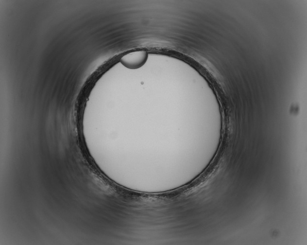 X0000101401022200807280957