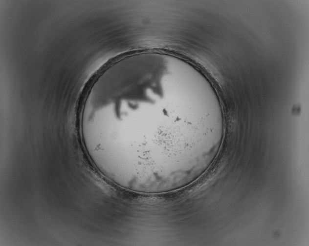 X0000101401023200807280957