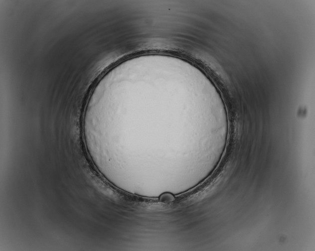 X0000101401025200807280957