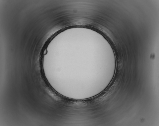 X0000101401026200807280957