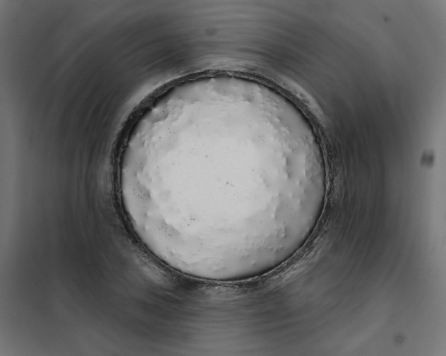 X0000101401027200807280957