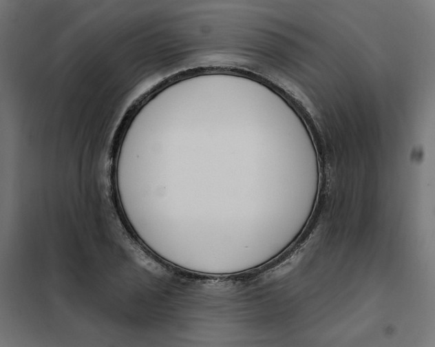 X0000101401029200807280957