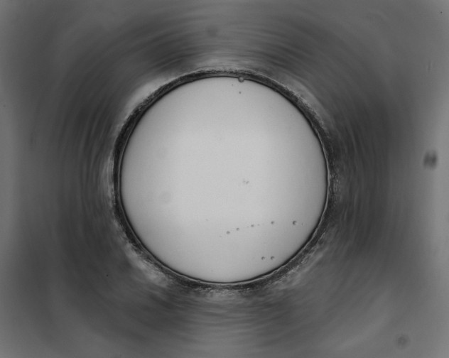 X0000101401030200807280957