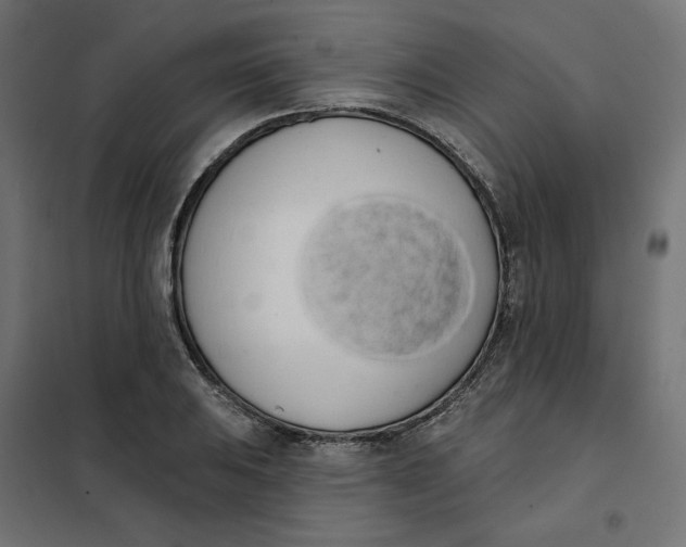 X0000101401031200807280957