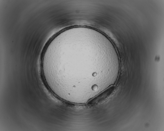 X0000101401032200807280957