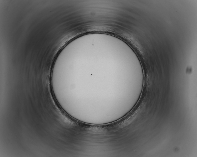 X0000101401033200807280957