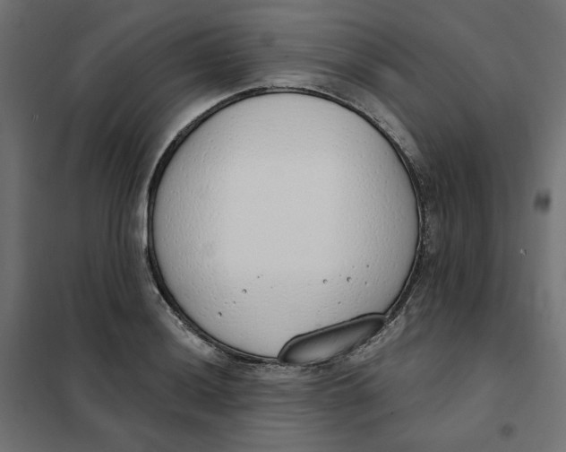 X0000101401036200807280957