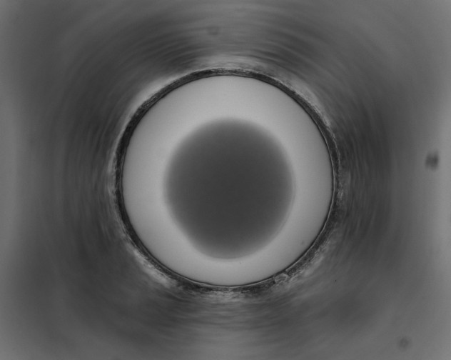 X0000101401037200807280957