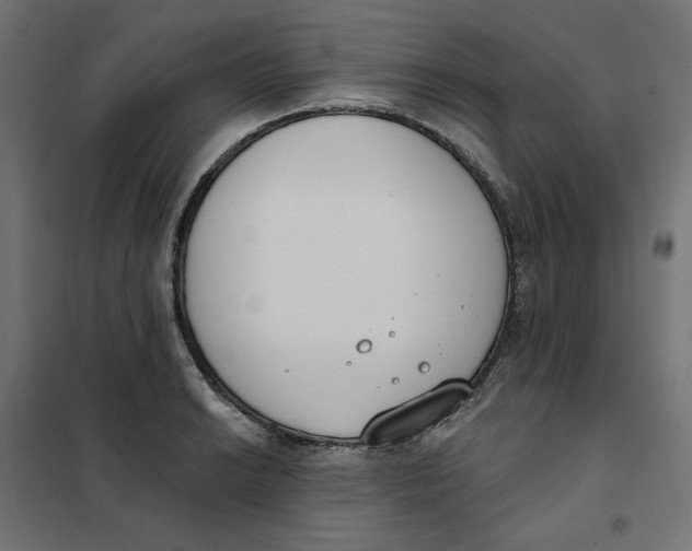 X0000101401038200807280957