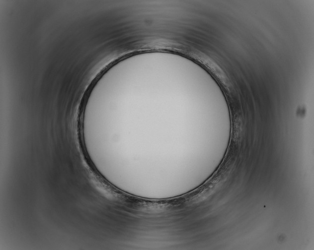 X0000101401039200807280957