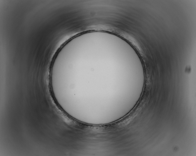 X0000101401040200807280957