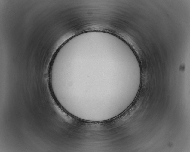 X0000101401042200807280957