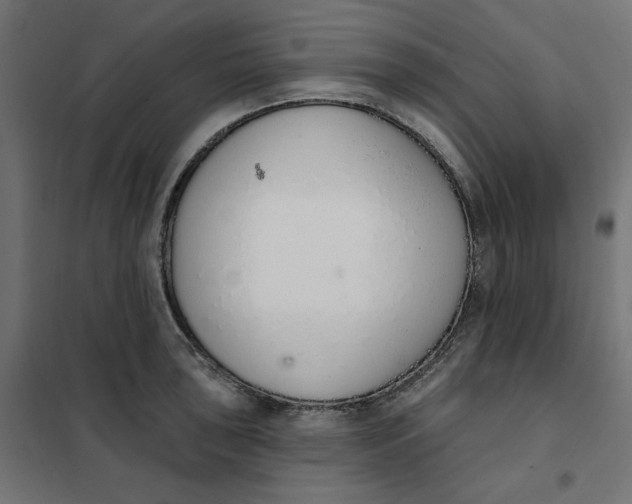 X0000101401043200807280957