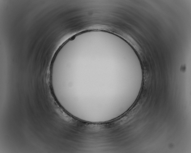 X0000101401044200807280957