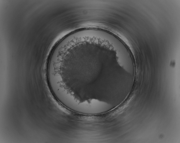 X0000101401045200807280957