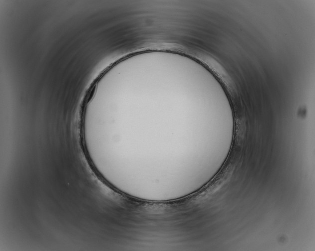 X0000101401046200807280957