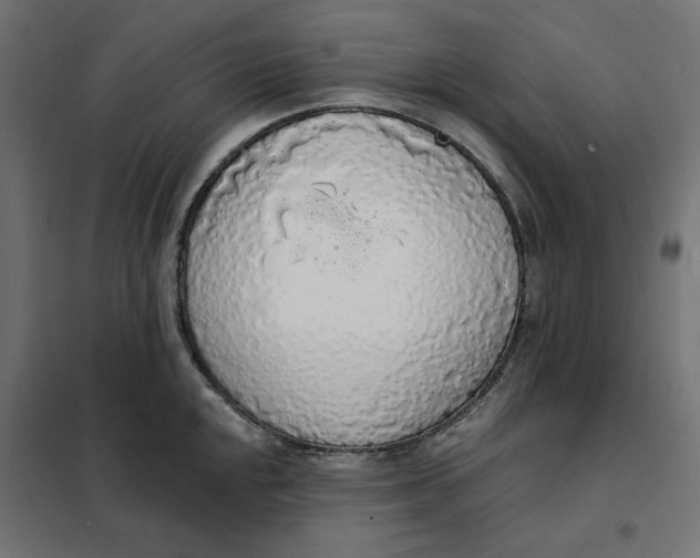 X0000101401048200807280957