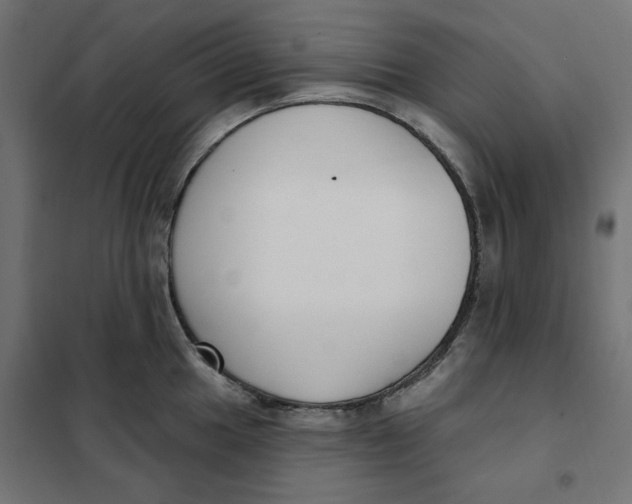 X0000101401049200807280957