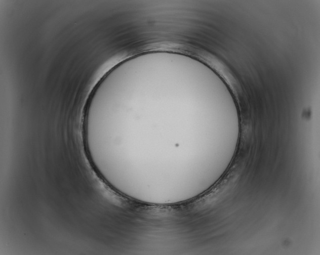 X0000101401050200807280957