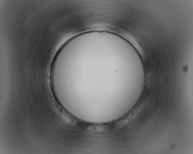 X0000101401051200807280957