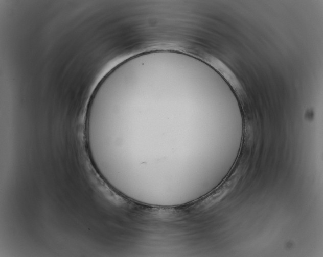 X0000101401052200807280957