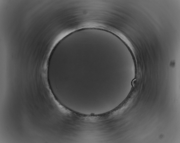 X0000101401053200807280957