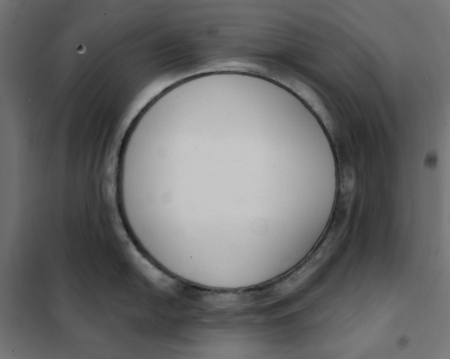 X0000101401054200807280957