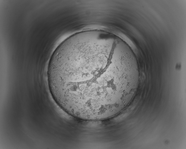 X0000101401055200807280957