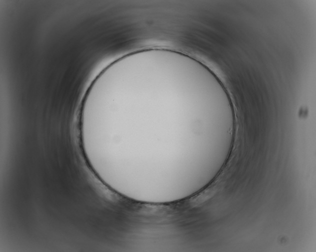 X0000101401056200807280957