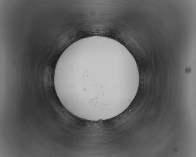 X0000101401058200807280957