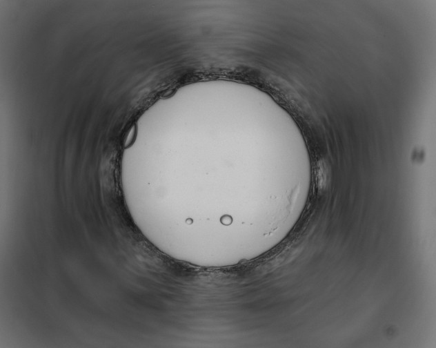 X0000101401059200807280956