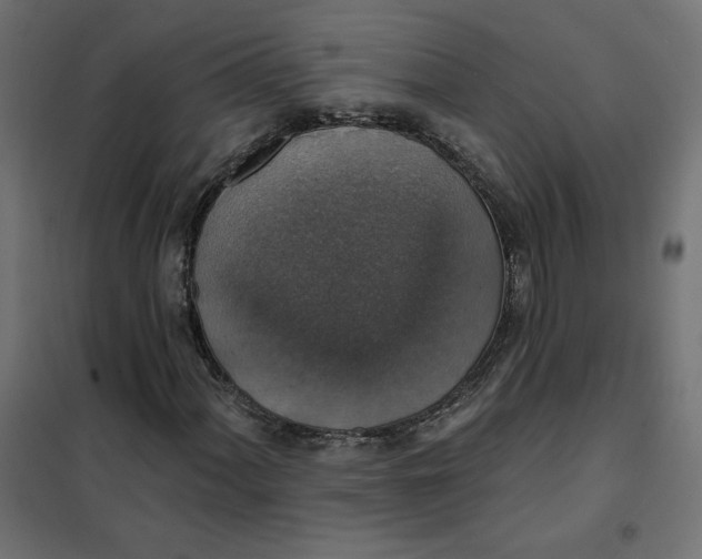 X0000101401060200807280956