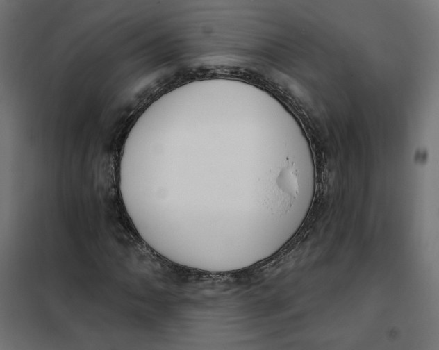 X0000101401062200807280956