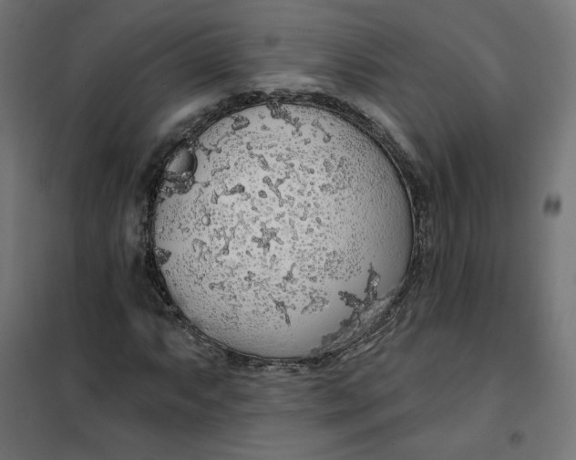 X0000101401063200807280956