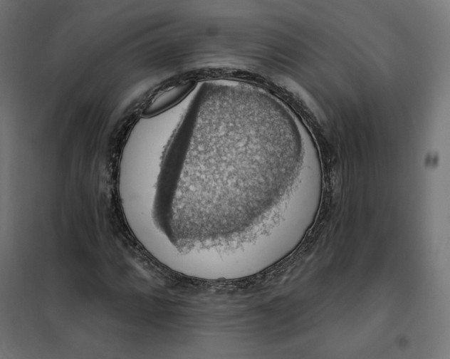 X0000101401064200807280956