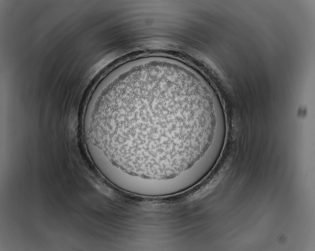 X0000101401065200807280956