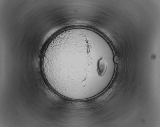 X0000101401066200807280956